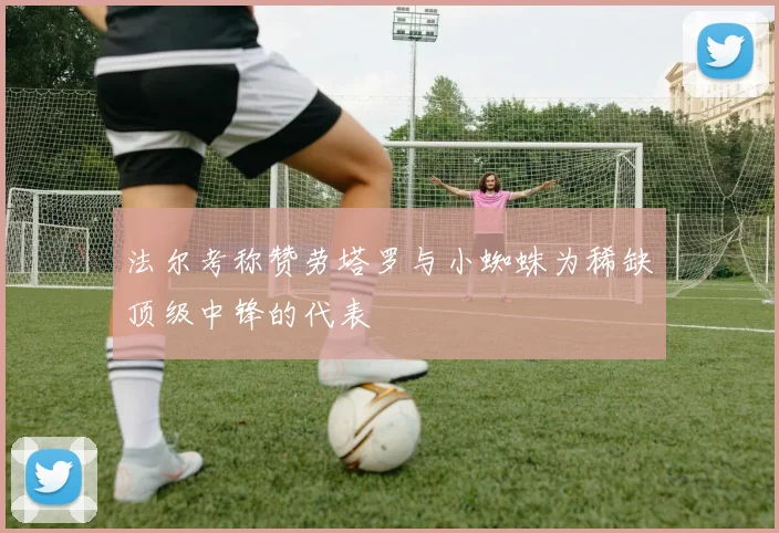 法尔考称赞劳塔罗与小蜘蛛为稀缺顶级中锋的代表